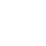 Arison-family-foundation-logo